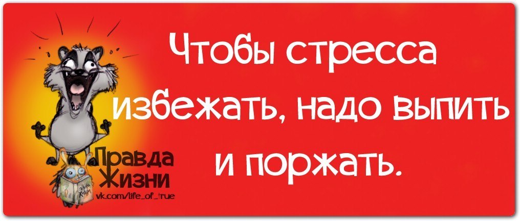 http://cs605331.vk.me/v605331334/58b9/hKtXMvW0NT4.jpg